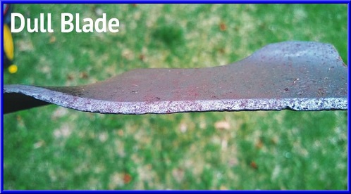 sharp rotary lawn mower blade