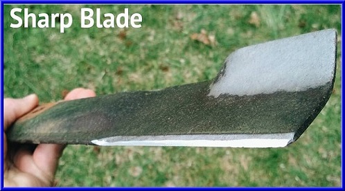 sharp rotary lawn mower blade