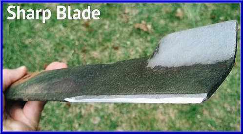 sharp rotary lawn mower blade