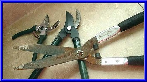 garden tool sharpening service